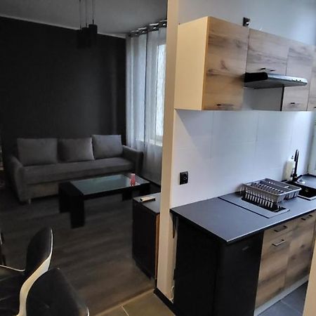 Apartament Pod Wieza Apartment Piotrków Trybunalski Exterior foto
